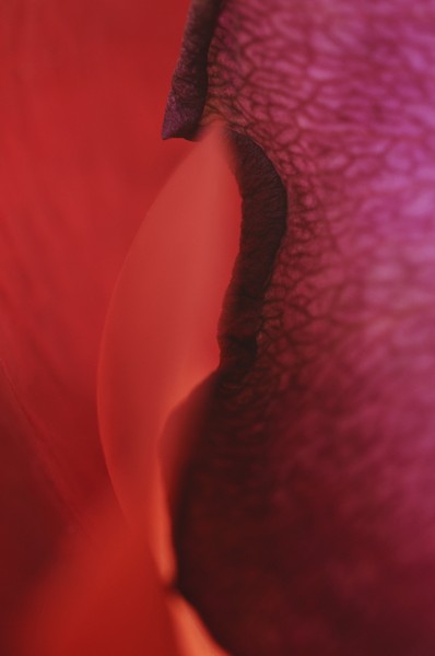 © Jacques Beun - 9.jpg - protected by IMATAG